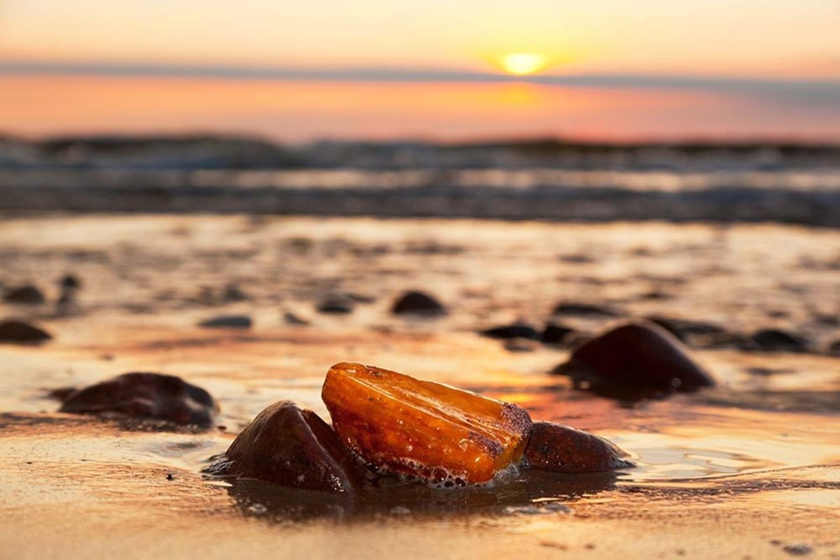 Baltic Sea is famous for its amber fragments that are often washed up on beaches, appearing in a variety of shades which characterise Latvia