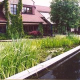 Staw