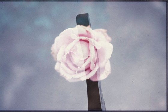 Gavin Hipkins, „The Trench (detail)“, 1998/2011  © Gavin Hipkins; courtesy of the artist und Hamish McKay Gallery