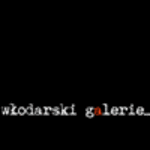 włodarski galerie architektura wnętrz