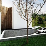 BNB_03_81.WAW.PL