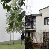 Widok od ogrodu - porownanie